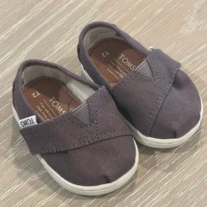 Baby Toms Canvas - Gray